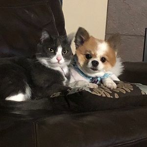 Meet your Posher, Neilynn